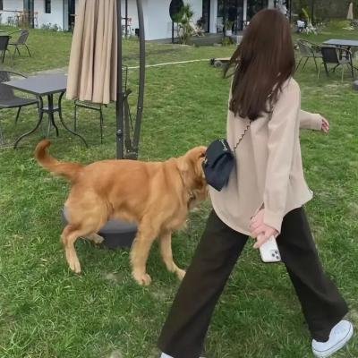 如果我的田野会说话