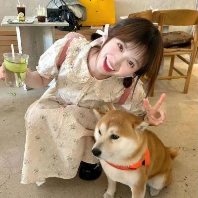 合众秩序